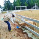 바다목장민박 이미지