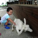 지성목장 이미지