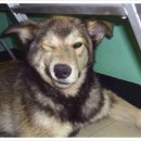 유앤동물의료원 이미지