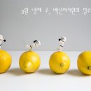 가톨릭서원 이미지