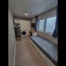 스테이 고대 이미지