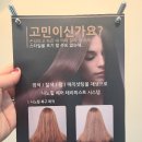 빈헤어 - 천안시 서북구 신향촌길 54 | 빈헤어