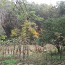 서울대학교 농업생명과학대학 이미지