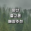 양산시 근처 중고폰 전문매장 추천 판매 정보 매입 아이폰 핸드폰 후기 알뜰폰 시세 보험 가격 갤럭시 금액