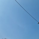 의정부 <b>베이비</b>카페 <b>리틀</b><b>베이비</b>