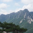 화암사 Daum카페