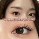 윙크 렌즈스토어 의정부역점 | 하남 렌즈 윙크 미사역점 :: 빈 크리스틴 원데이 드립 브라운 착용 후기