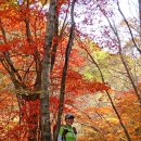 명성산 자락의 아름다운 단풍과 억새길 거닐다(2017.10.21) 이미지