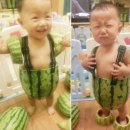 수박 이미지