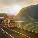 펫(PET)과 함께 이미지