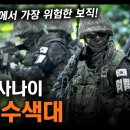 진짜 사나이 "육군수색대" / 대한민국에서 가장 위험한 보직! [지식스토리] 이미지