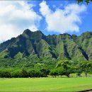 비치파크 이미지