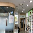 하동물병원 | [수컷 중성화]수컷 강아지 중성화 수술 주의사항&amp;비용&amp;병원정보 공유