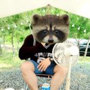 (주) 푸드장 이미지