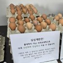 상호농장 | 🐔 농장 직송 저렴한 계란구매 ! 양평 싱싱계란 후기