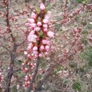 도장농장 이미지