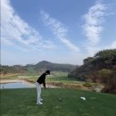 솜이파파의 겨울라운딩(서경타니cc, 청룡백호코스) 솔직후기!