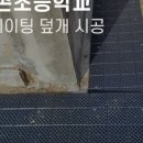 도마산초등학교 이미지
