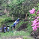 황부자 며느리 친정가는 둘레길 이미지