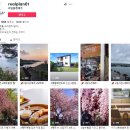 리얼플랜제주 주식회사