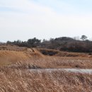 순천-49호 이미지