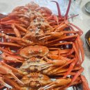 고가네영덕대게 이미지