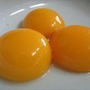노른자 이미지