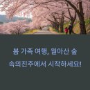 월아산 숲속의 진주(목재문화체험관) | 진주 월아산 숲속의진주 드라이브, 유아숲체험원까지 완벽한 봄