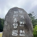 생거진천자연휴양림 진입로 가로수 | 아이와 생거진천 휴양림 숲속의집 힐링숲 3호 다녀온 후기