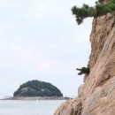 (주)영종국제도시인천공항호텔 이미지