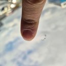 김해 자동차 앞유리깨짐 복원으로 해결