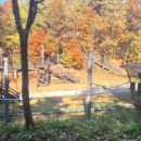 더불어숲 이미지