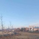 세천늪근린공원 네이버블로그