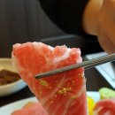 늘푸른참치