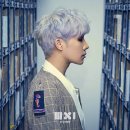 개이쁘다 이미지