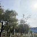 꿈의숲 라포레스타 | 북서울꿈의숲 카페 라포레스타 브런치 메뉴도 다양하게