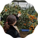 정우농장 2 이미지