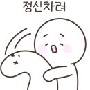 마요이(mayoi) 이미지