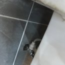 (주)물샘 이미지