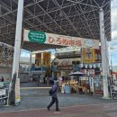 진마루마을 | 고치 여행 🌳 히로메시장(ひろめ市場)