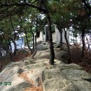 판암동240 이미지