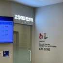 FM 동물메디컬센터 | FM동물메디컬센터 김포점 강아지 스케일링 후기