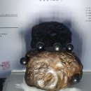 주문진관광안내센터 이미지