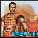 솔로몬 Daum카페