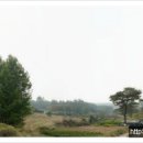 신장동 573 Daum카페