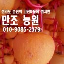 맛있는곶감농원 이미지