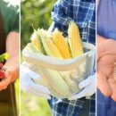 농업회사법인 주식회사팜앤팜스 이미지