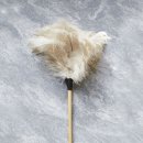 털보신집 이미지