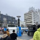 (주)바이탈투어 | &lt;해외 마라톤&gt; 후지산과 바다를 보며 달리는 2025 시즈오카 마라톤 후기 (with 기안84 &amp; 런콥)