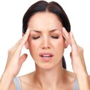 네이처짐 이미지